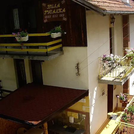 Guest house Rusalka 2*